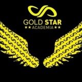 Academia Gold Star Fitness - logo
