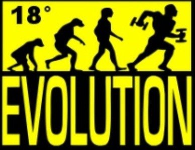 Academia Evolution