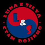 Luna E Silva Ctam Dojinho - logo
