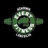 Academia Every Fitness - logo