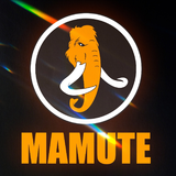 MAMUTE CF - logo