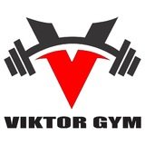 Viktor gym - logo