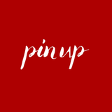 Pin Up Pole Studio Centro - logo