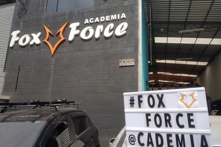 Academia Fox Force