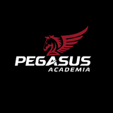 Academia Pegasus - logo