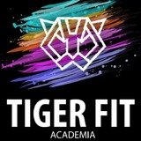 TigerFit Academia - logo