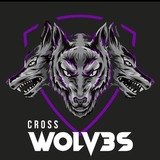 Cross WOLV3S - logo