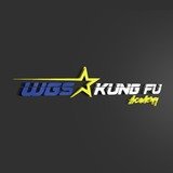 WGS KUNG FU ACADEMY - logo